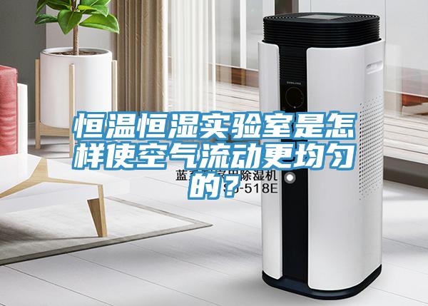 恒温恒湿实验室是怎样使空气流动更均匀的？