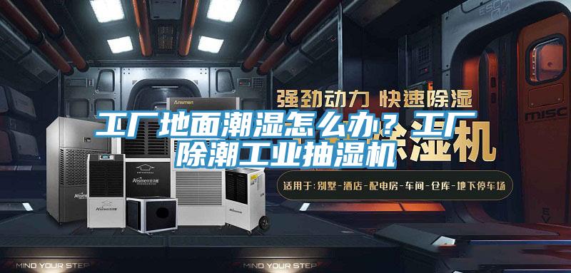 工厂地面潮湿怎么办？工厂除潮工业抽湿机