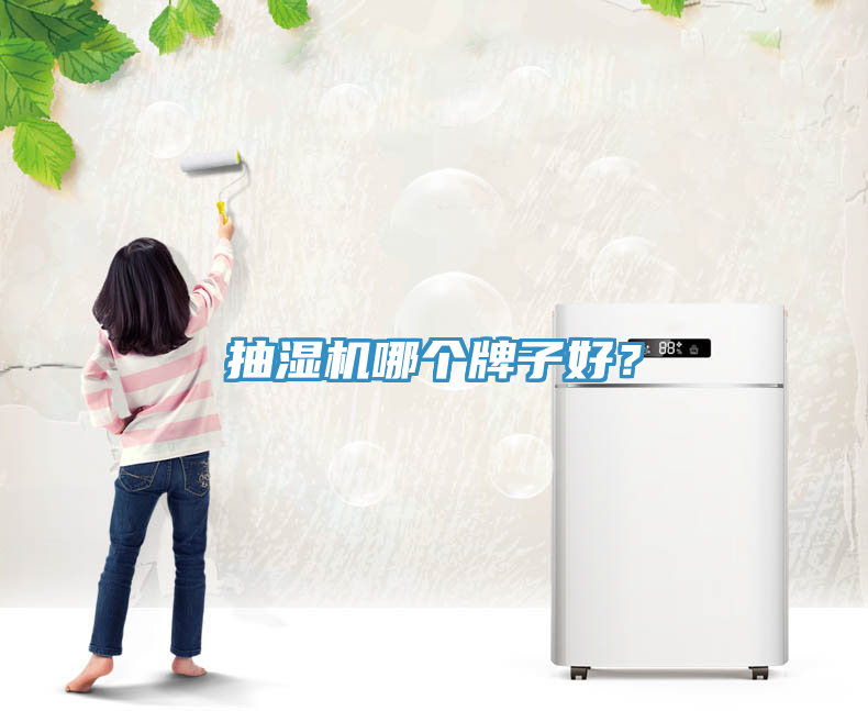 抽濕機(jī)哪個(gè)牌子好？