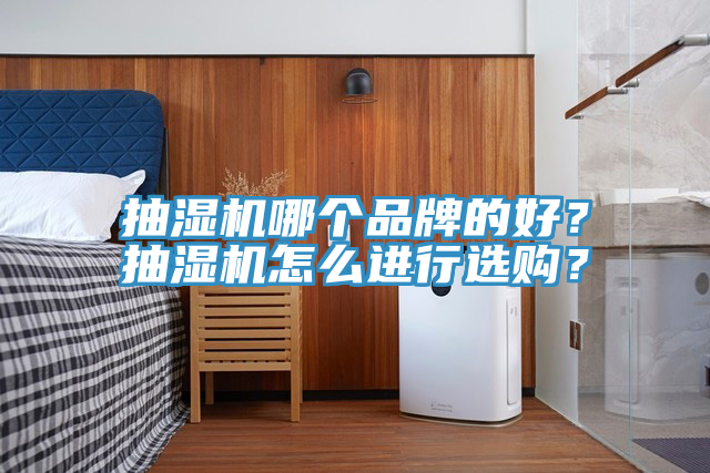 抽湿机哪个品牌的好？抽湿机怎么进行选购？