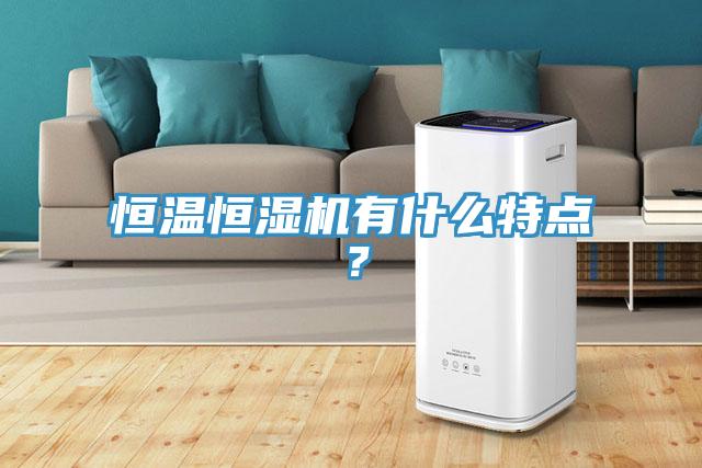 恒温恒湿机有什么特点？