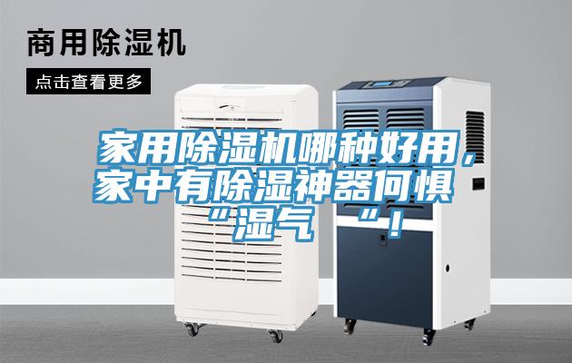家用除濕機(jī)哪種好用，家中有除濕神器何懼 “濕氣 “！