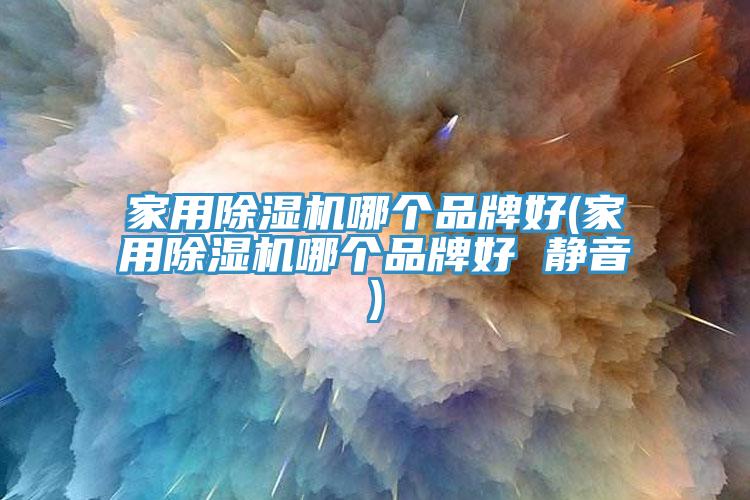 家用除湿机哪个品牌好(家用除湿机哪个品牌好 静音)