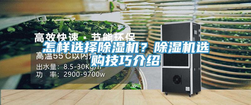 怎樣選擇除濕機(jī)？除濕機(jī)選購技巧介紹