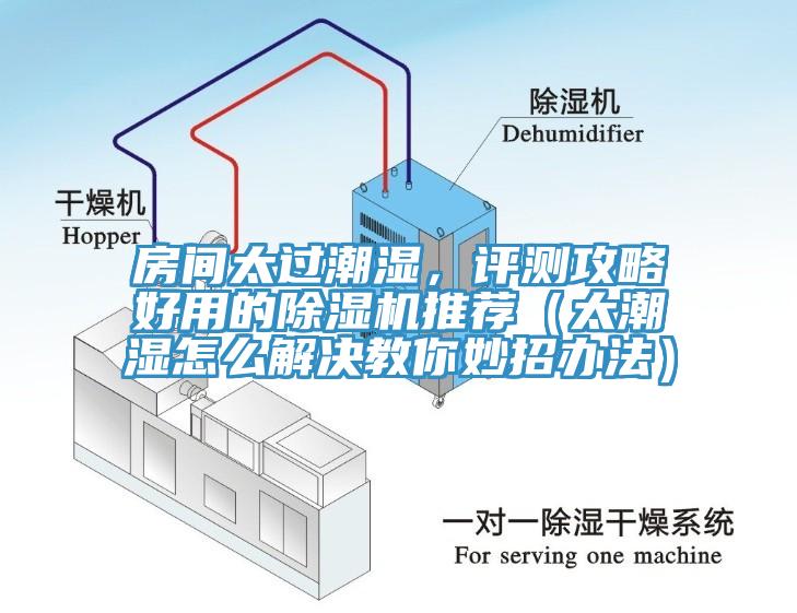 房間太過潮濕，評測攻略好用的除濕機推薦（太潮濕怎么解決教你妙招辦法）