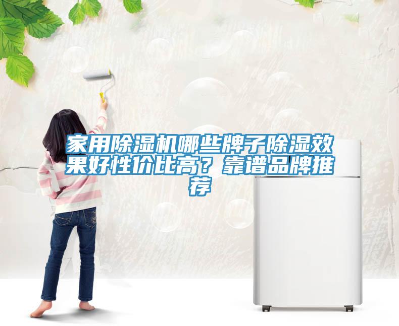 家用除湿机哪些牌子除湿效果好性价比高？靠谱品牌推荐