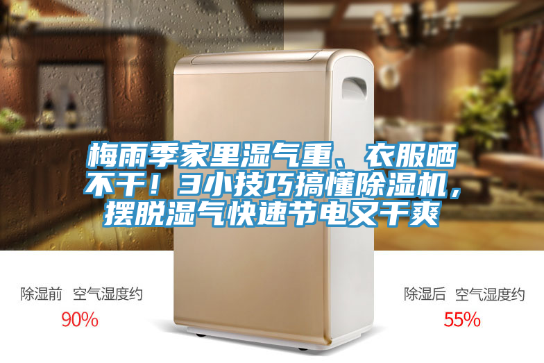 梅雨季家里濕氣重、衣服曬不干！3小技巧搞懂除濕機(jī)，擺脫濕氣快速節(jié)電又干爽