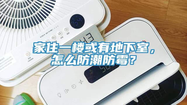 家住一楼或有地下室，怎么防潮防霉？