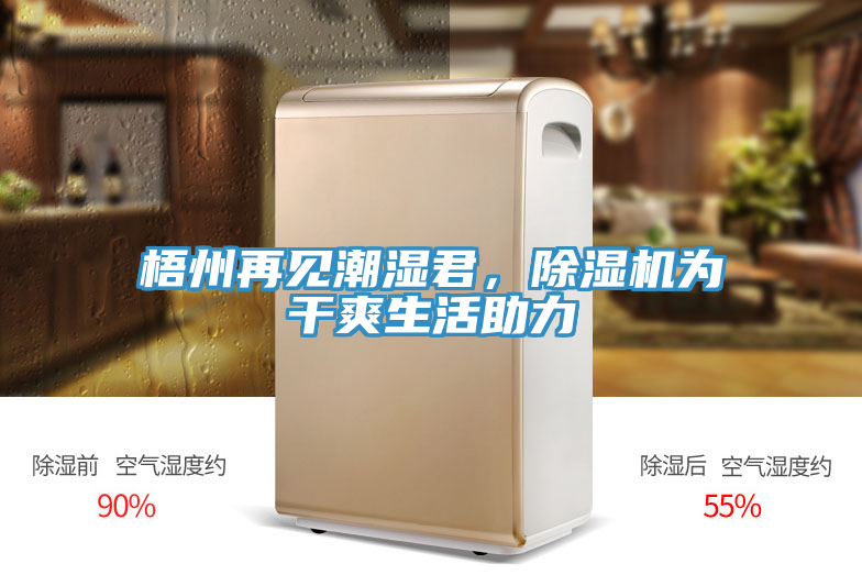 梧州再見潮濕君，除濕機為干爽生活助力