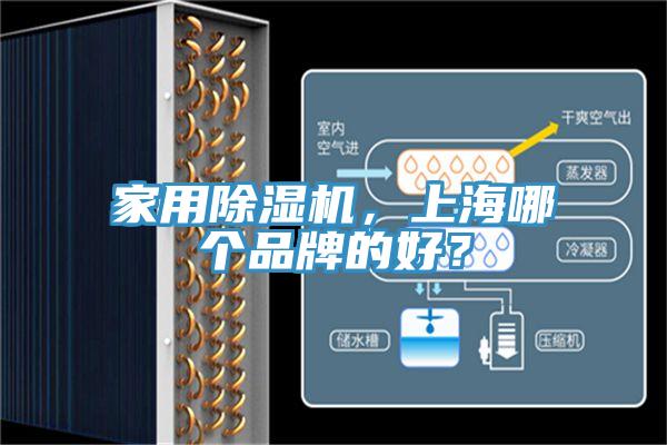 家用除湿机，上海哪个品牌的好？
