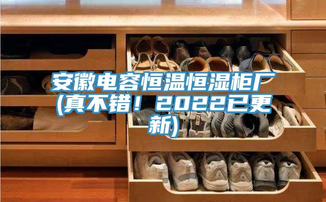 安徽電容恒溫恒濕柜廠(真不錯！2022已更新)