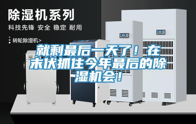 就剩最后一天了！在末伏抓住今年最后的除濕機會！