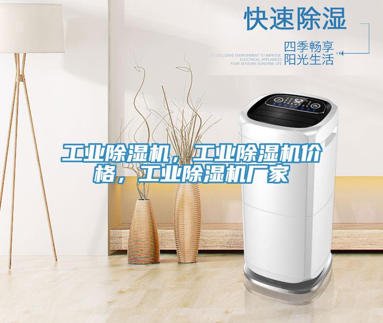工业除湿机，工业除湿机价格，工业除湿机厂家