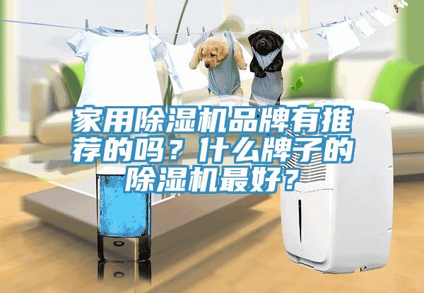 家用除湿机品牌有推荐的吗？什么牌子的除湿机最好？