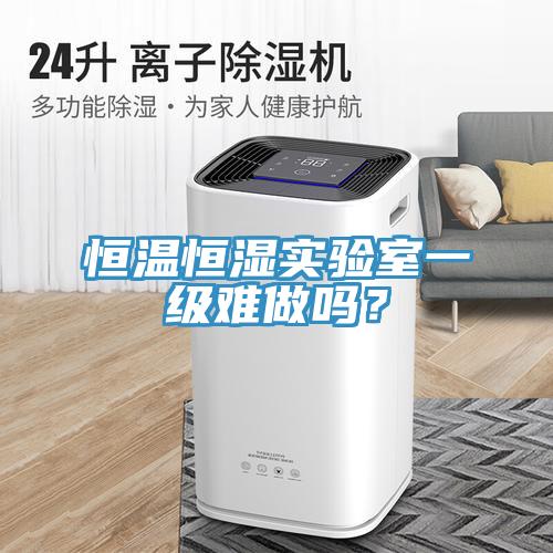 恒温恒湿实验室一级难做吗？