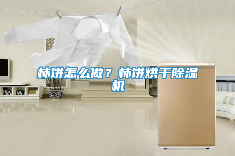 柿餅怎么做？柿餅烘干除濕機(jī)