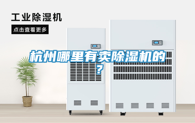 杭州哪里有賣除濕機的？