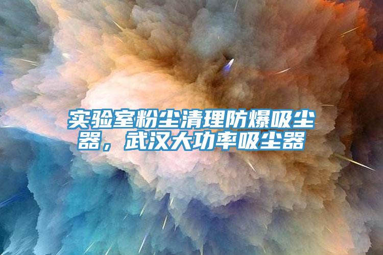 实验室粉尘清理防爆吸尘器，武汉大功率吸尘器