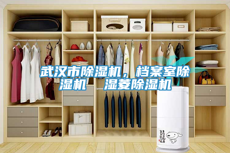 武漢市除濕機，檔案室除濕機  濕菱除濕機