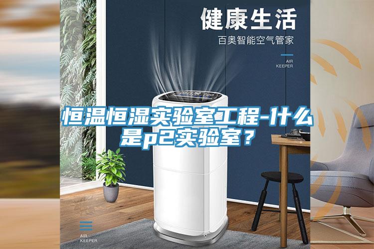 恒温恒湿实验室工程-什么是p2实验室？