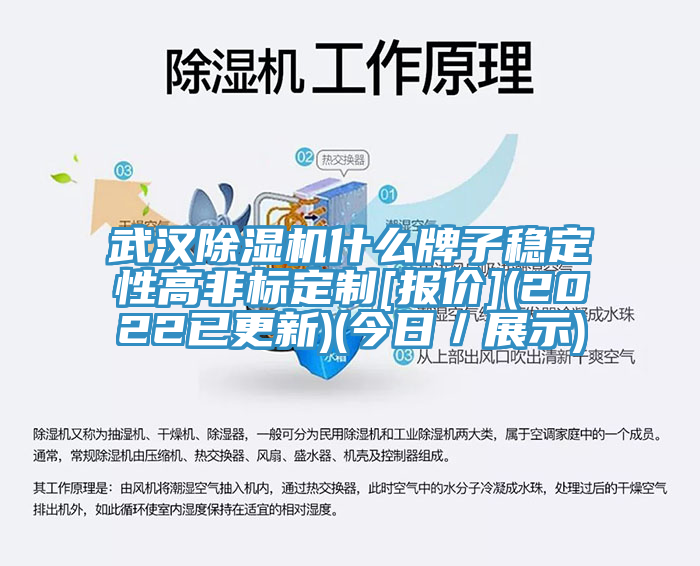 武漢除濕機(jī)什么牌子穩(wěn)定性高非標(biāo)定制[報價](2022已更新)(今日／展示)