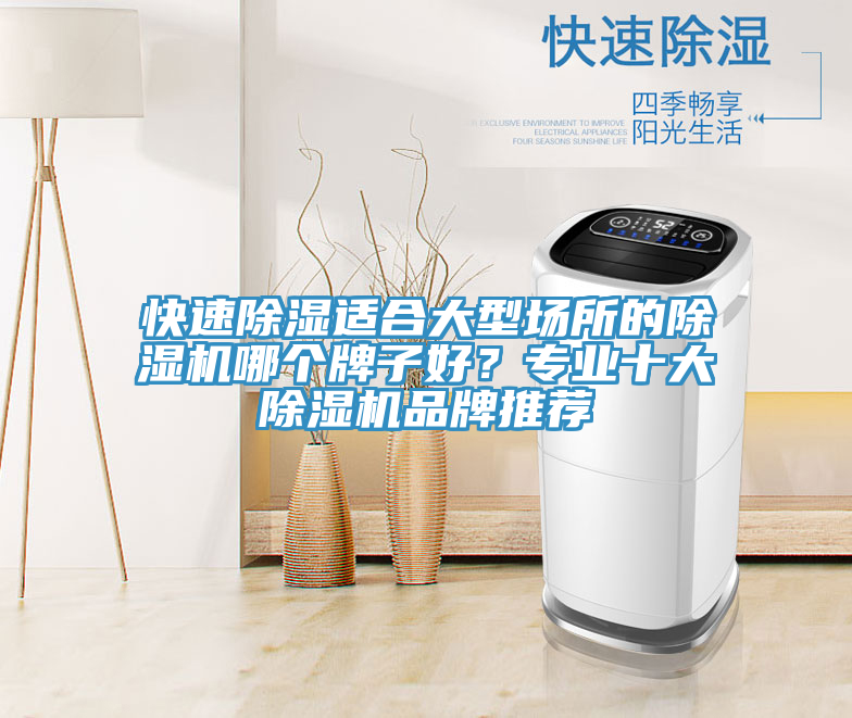 快速除湿适合大型场所的除湿机哪个牌子好？专业十大除湿机品牌推荐