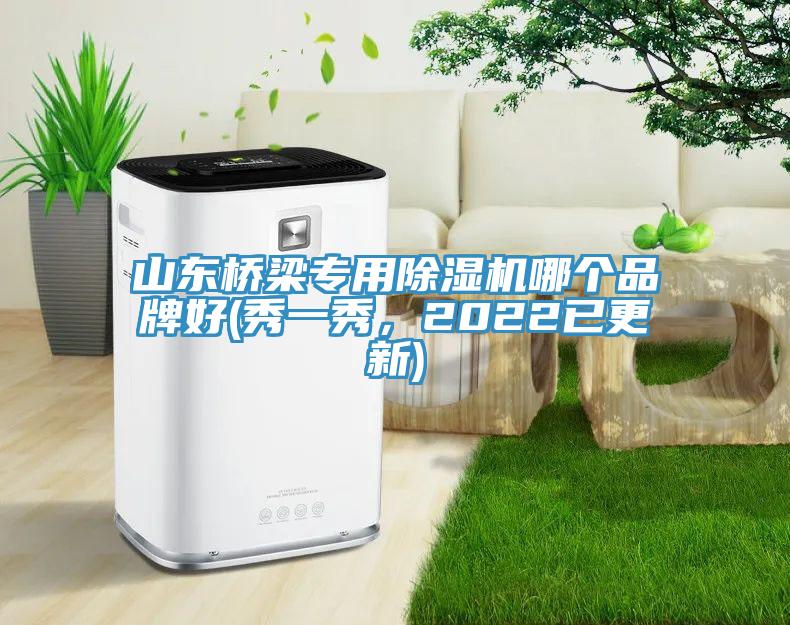 山东桥梁专用除湿机哪个品牌好(秀一秀，2022已更新)