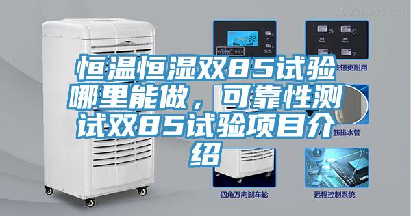 恒温恒湿双85试验哪里能做，可靠性测试双85试验项目介绍