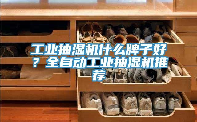 工业抽湿机什么牌子好？全自动工业抽湿机推荐