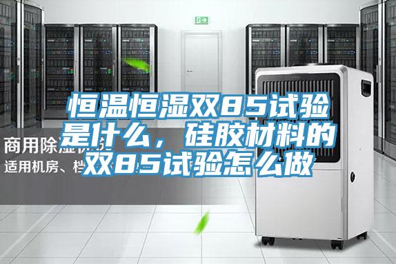 恒温恒湿双85试验是什么，硅胶材料的双85试验怎么做