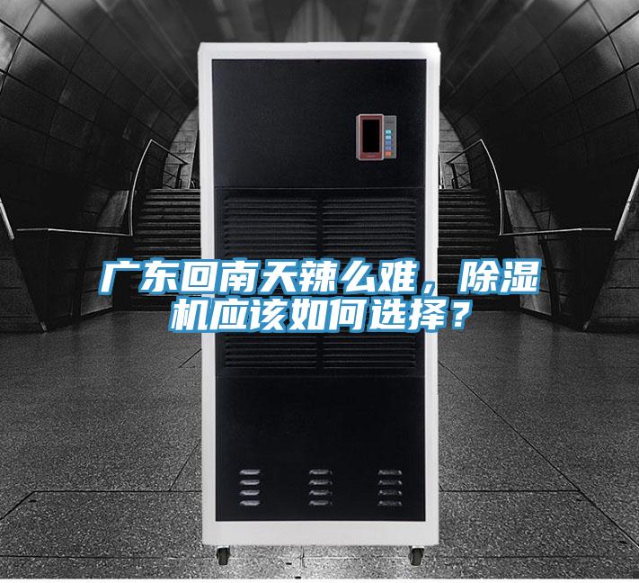 廣東回南天辣么難，除濕機應(yīng)該如何選擇？