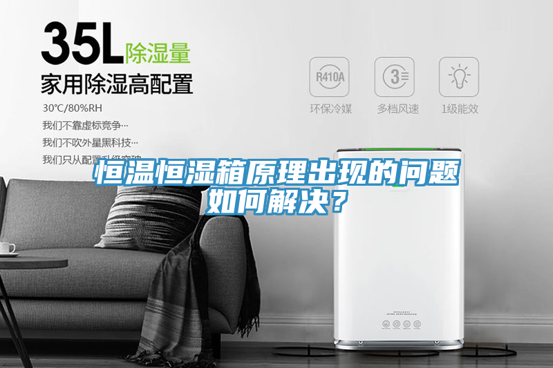 恒温恒湿箱原理出现的问题如何解决？