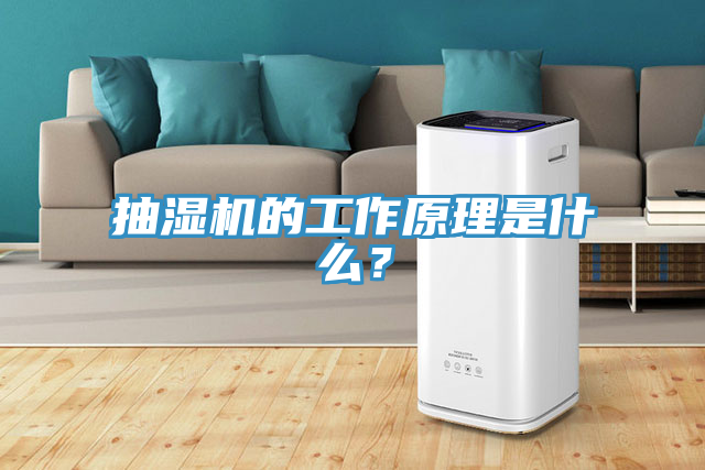 抽湿机的工作原理是什么？
