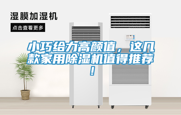 小巧給力高顏值，這幾款家用除濕機(jī)值得推薦！