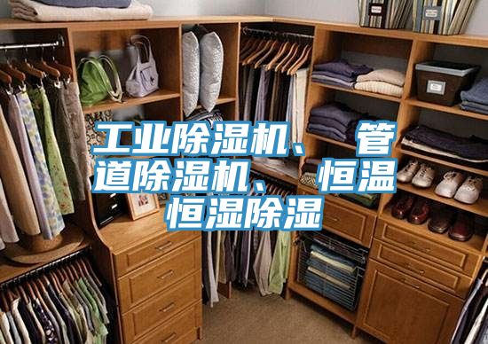 工業(yè)除濕機(jī)、 管道除濕機(jī)、 恒溫恒濕除濕