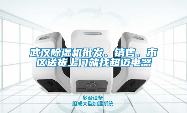 武漢除濕機批發(fā)、銷售、市區(qū)送貨上門就找超邁電器