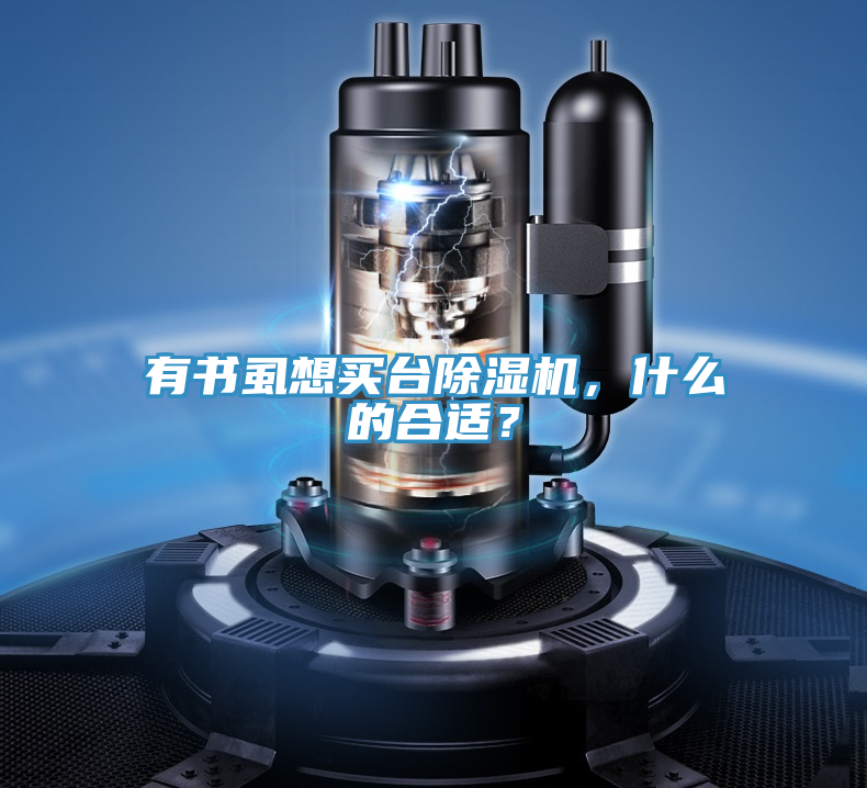 有書虱想買臺除濕機，什么的合適？