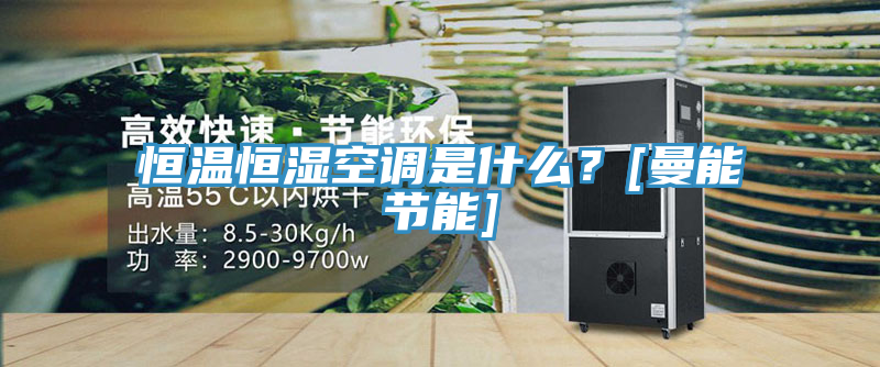 恒溫恒濕空調(diào)是什么？[曼能節(jié)能]