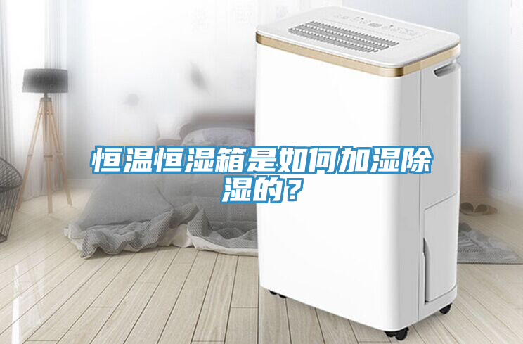恒温恒湿箱是如何加湿除湿的？