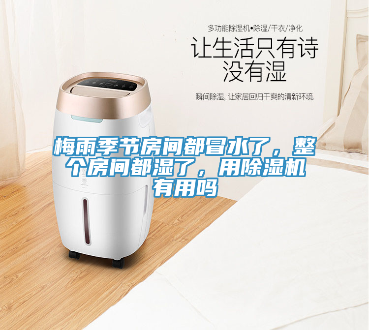 梅雨季節(jié)房間都冒水了，整個(gè)房間都濕了，用除濕機(jī)有用嗎