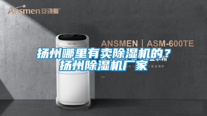 扬州哪里有卖除湿机的？扬州除湿机厂家