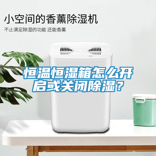 恒温恒湿箱怎么开启或关闭除湿？