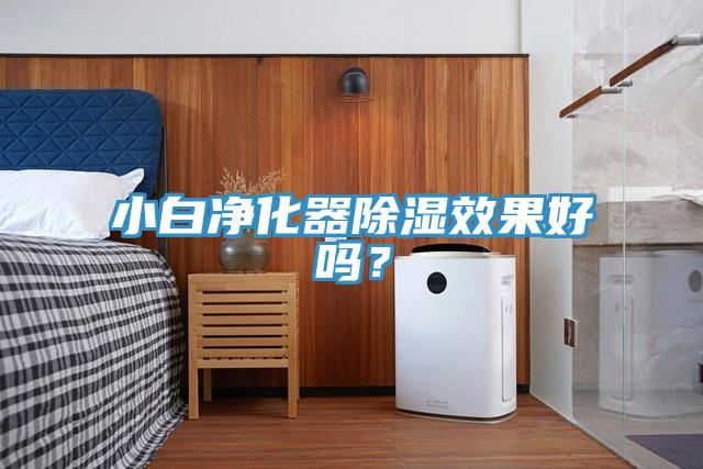 小白凈化器除濕效果好嗎？