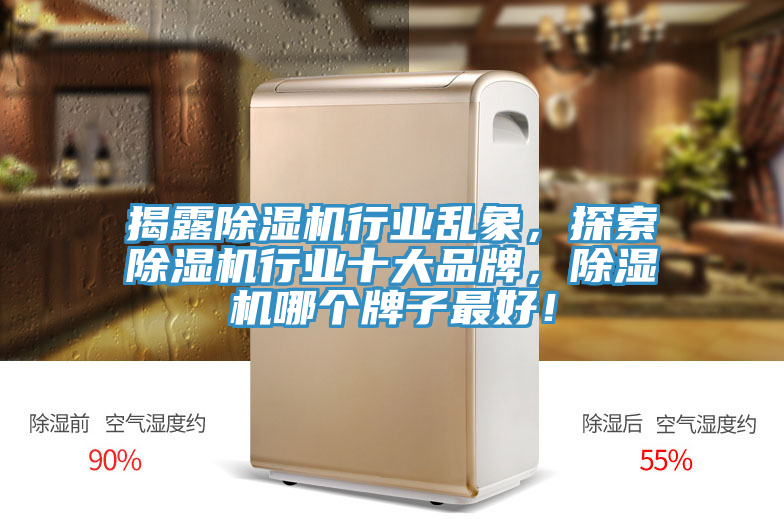 揭露除濕機(jī)行業(yè)亂象，探索除濕機(jī)行業(yè)十大品牌，除濕機(jī)哪個(gè)牌子最好！
