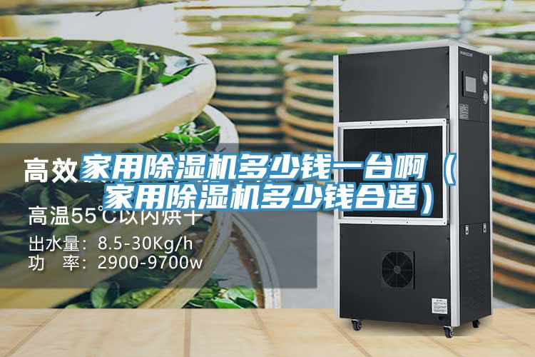 家用除濕機(jī)多少錢一臺?。矣贸凉駲C(jī)多少錢合適）