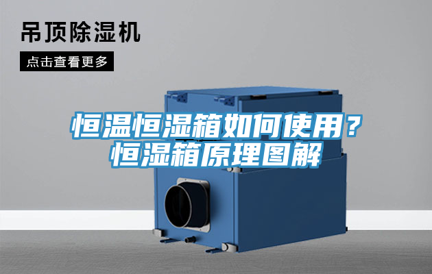 恒温恒湿箱如何使用？恒湿箱原理图解