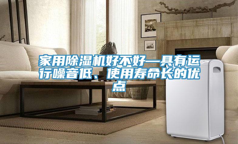 家用除濕機(jī)好不好—具有運行噪音低、使用壽命長的優(yōu)點