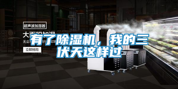 有了除濕機，我的三伏天這樣過