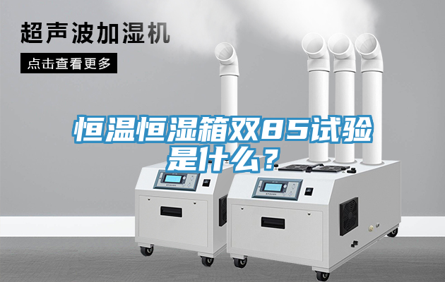 恒温恒湿箱双85试验是什么？