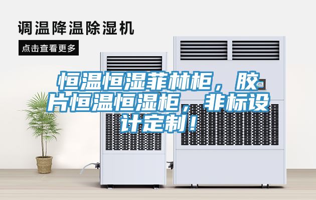 恒温恒湿菲林柜，胶片恒温恒湿柜，非标设计定制！